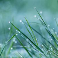 La nuit a été fraîche