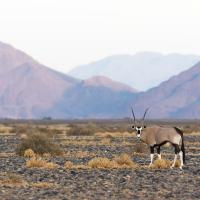 Crépuscule namibien, Namibie